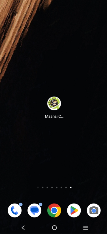 Android home screen with the newly installed app icon